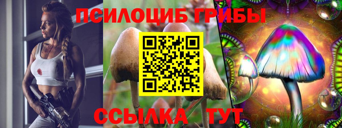 Галлюциногенные грибы мухоморы  Вход с VPN  Галлюциногенные грибы Cubensis  купить закладку  Смоленск 